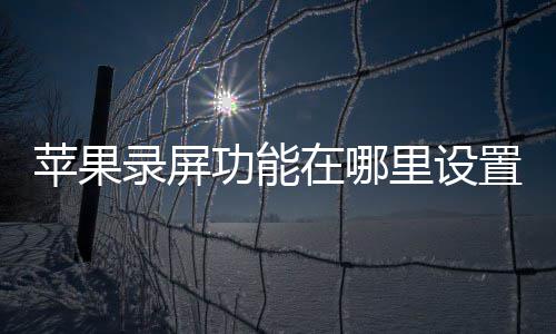 苹果在哪置录屏里设功能