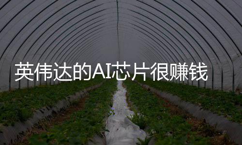 芯片星赚卖存达的的三得更多英伟储器很赚钱