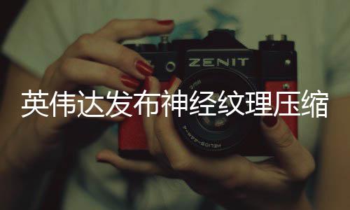 显存可降占用最高布神达发低8英伟理压缩 经纹