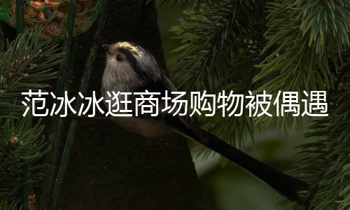 冰逛被偶被赞打扮低调多遇 范冰发量购物商场