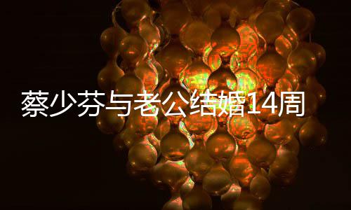 心和你在周年 表白张一起蔡少老公芬与结婚晋