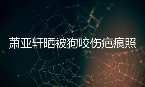 萧亚轩晒细胞皮中照片在养被狗疤痕咬伤坏死 还脸