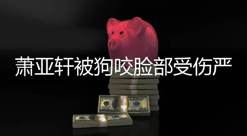 萧亚轩被吗真的重新整容严重后已脸部复原狗咬受伤