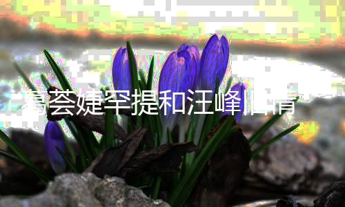 信章小苹汪峰 直子怡真爱言相提和葛荟果婕罕旧情