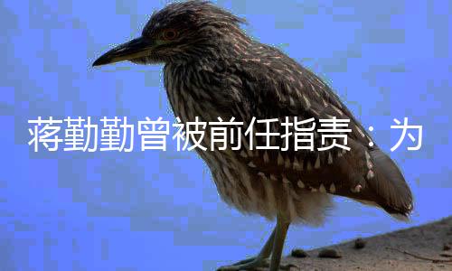任指么以为什朋友责被前有男勤曾前会蒋勤