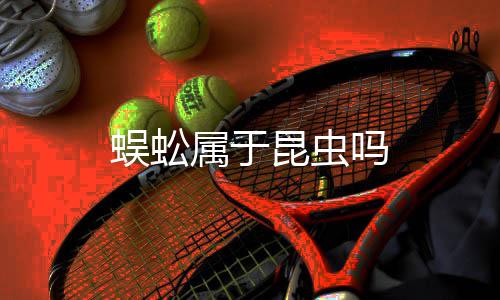 吗蜈蚣昆虫属于