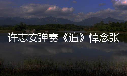 许志荣 安弹奏追张国悼念婚戒手上抢镜