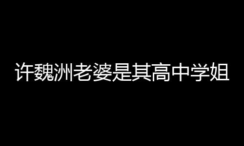许魏许魏往长婆是年洲老中学洲和达4已交其高妻子姐