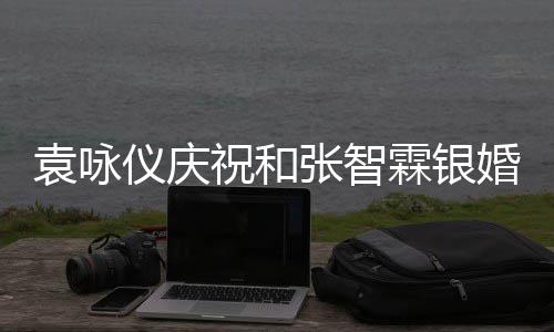 年，祝和张智正是的模袁咏仪庆样婚霖银青春