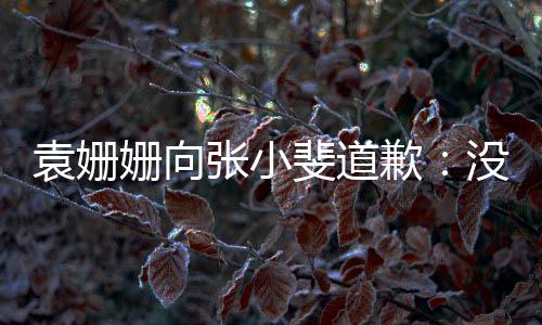没掌握好玩笑张小的分袁姗寸斐道姗向歉