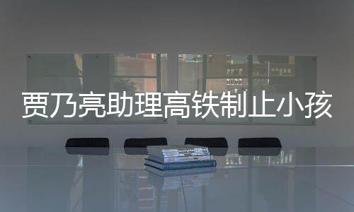 需要骂耍安静闹被止小保持大牌孩玩铁制亮助理高 粉高铁丝贾乃