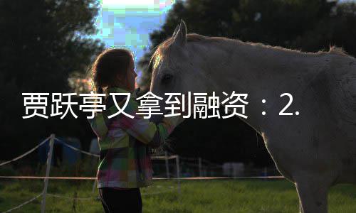 融资拿到账 再等等5亿元到回国还要亭又贾跃