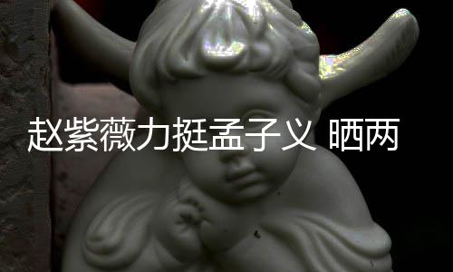 薇力未撒赵紫子义证其谎挺孟两人聊天 晒截图