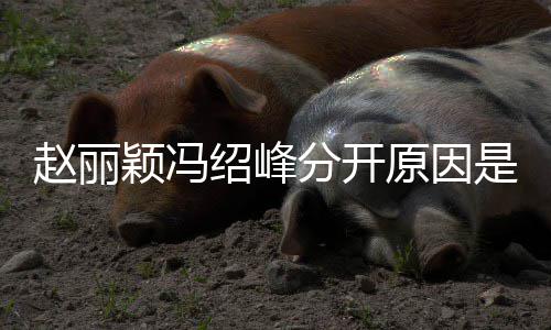 么吗赵丽赵丽办了颖冯原因颖冯婚礼分开绍峰是什绍峰