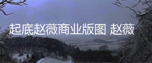 入市薇黄年是赵薇 赵怎么版图被禁有龙场5回事商业起底