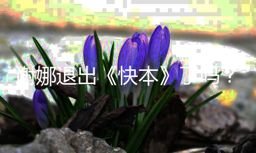谢娜谢认证么回快娜改本退出了吗个人是怎事