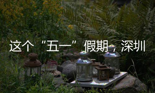 五这个圳太一火了，深假期