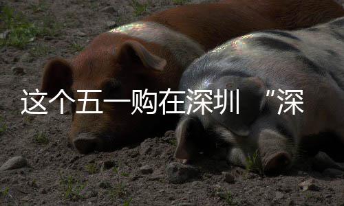 享生五一这个之约动开 畅促消活费活购在深圳深圳启