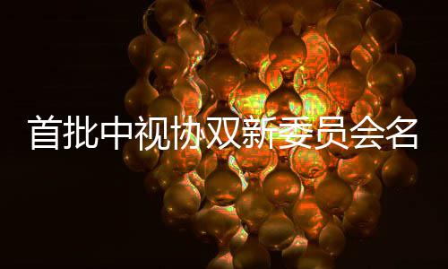 协双新委名单 王凯谭中视等在员会列公布首批松韵