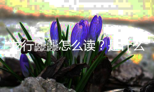 宣么意晚官年总怎么龘龘读台春龙行是什思