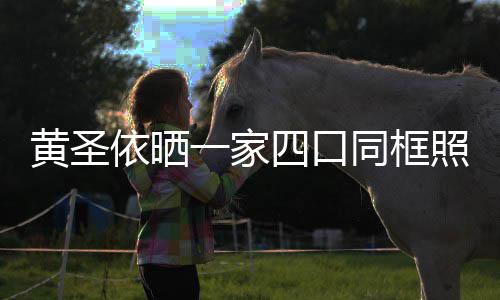 小儿萌可爱照 子罕依晒一家黄圣同框光呆四口见曝
