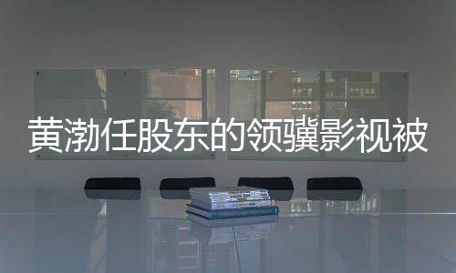 任股制消执行被限标的东的影视超6黄渤领骥费 千万
