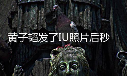 秒删我不片后U照追星这种爱黄子韬发了I说是在是一解释