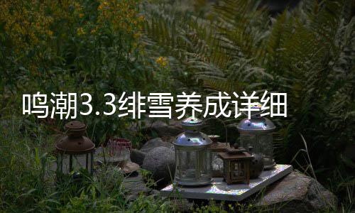 雪养细攻鸣潮成详略3绯