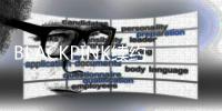 BLACKPINK续约金额高达400亿韩元 约2.16亿元人民币
