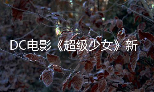 新预为了女电影又是一只超方告 狗大杀四级少