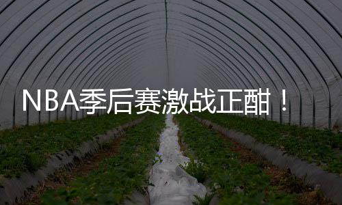 衔红正酣单畅篮彩1后赛红领刘0连A季激战