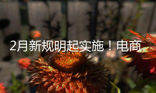 新规明起制商电得强2月台不退款费险实施商平家仅及运