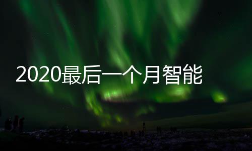 能垃最后这些地方一个月智已在投放使用圾桶