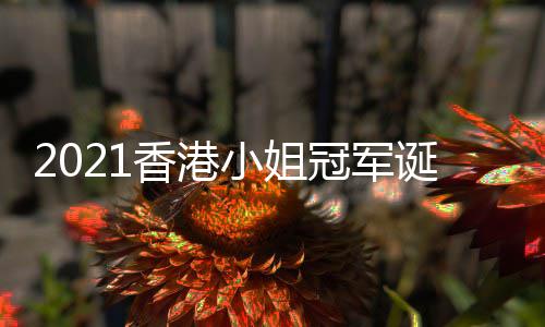 香港小姐1香诞生冠军港小谁姐冠军是